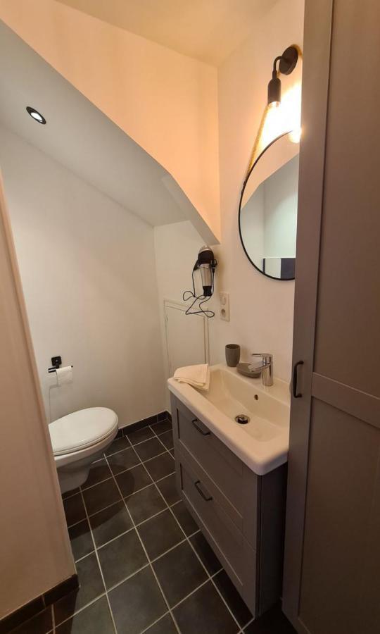 Studio Le Ligerien Saint-Denis-de l'Hotel Luaran gambar